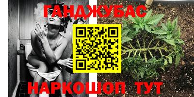 дурь Камышлов
