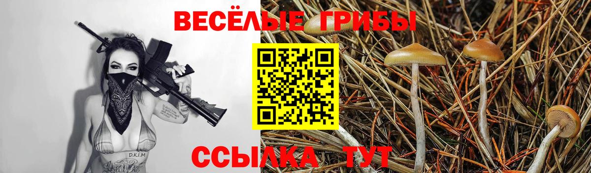Кстово  Галлюциногенные грибы мицелий  Вход с VPN  Галлюциногенные грибы Cubensis 